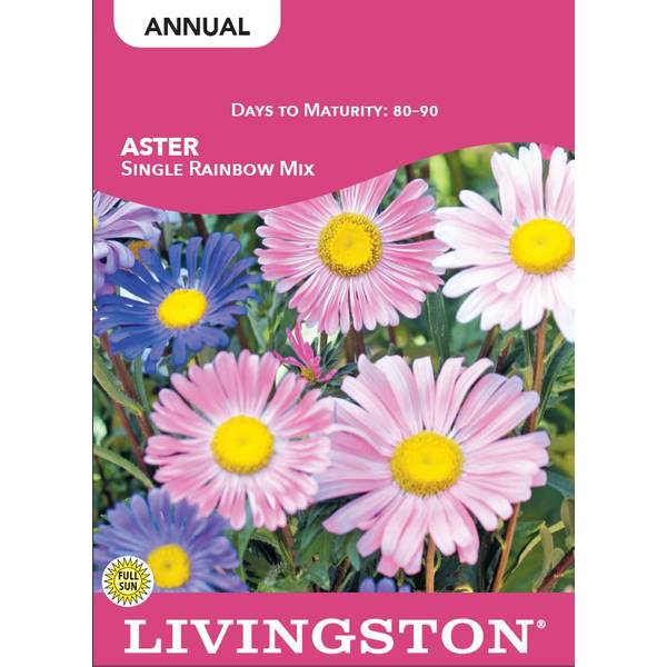 Photo of Rainbow Mix Aster
