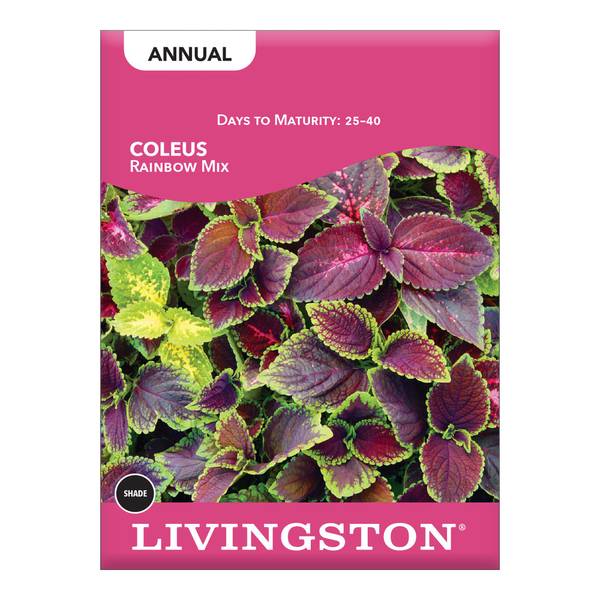 Photo of Rainbow Coleus Mix