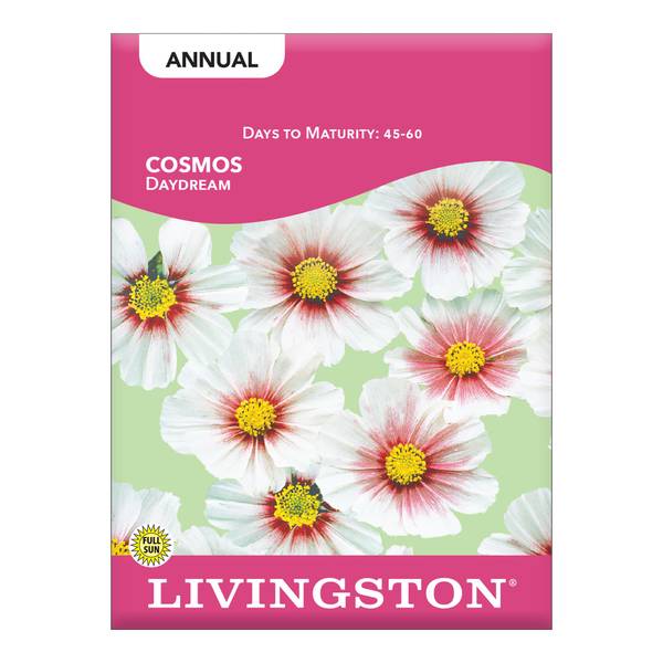 Photo of Daydream Cosmos