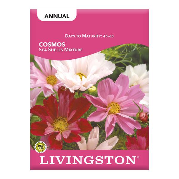 Photo of Sea Shells Cosmos Mix