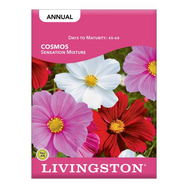 Photo of Sensation Cosmos Mix