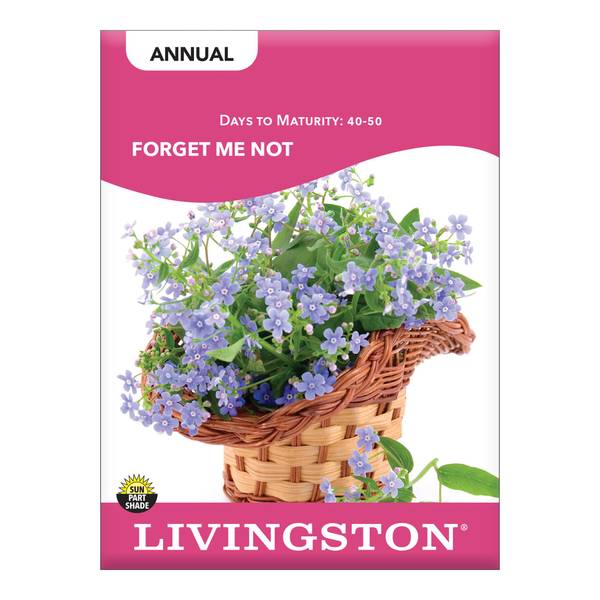 Photo of Forget-Me-Nots