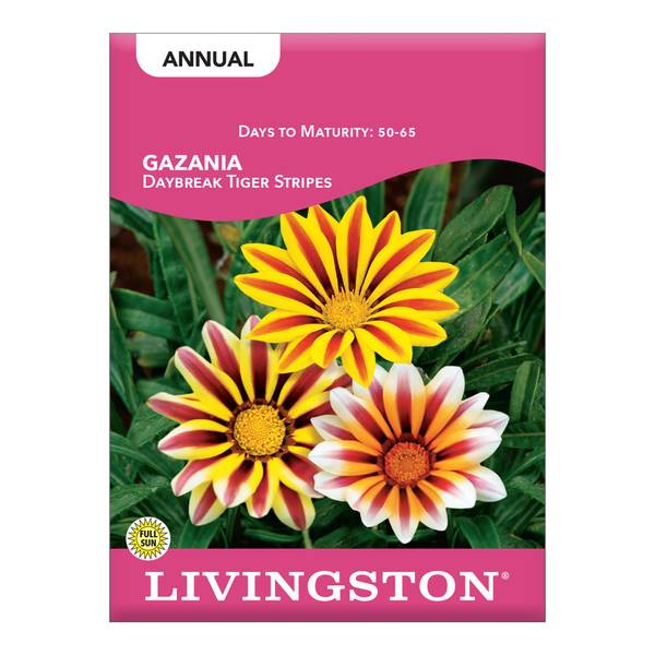 Photo of Daybreak Tiger Stripes Gazania