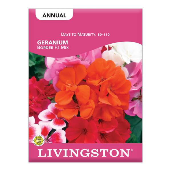 Photo of Border F2 Geranium Mix