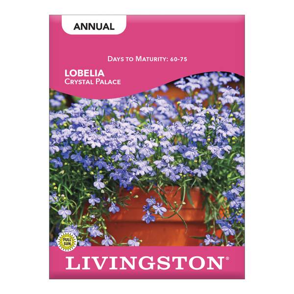 Photo of Crystal Palace Lobelia