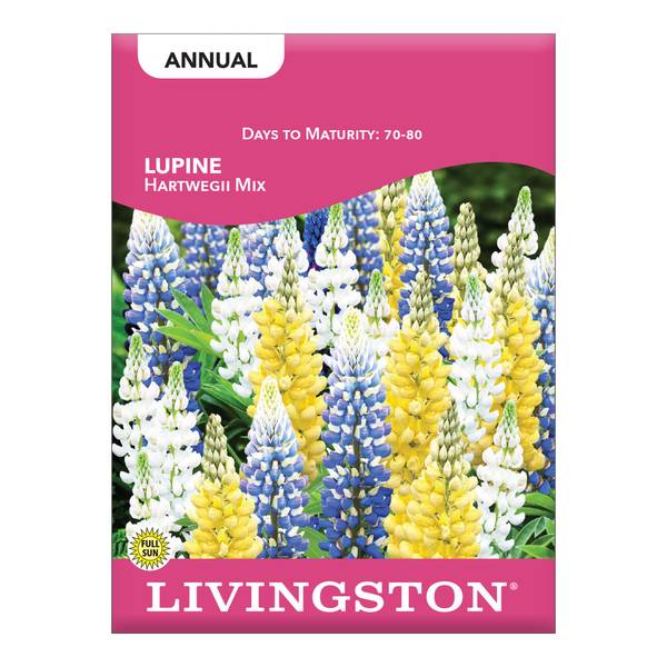 Photo of Hartwegii Lupine Mix