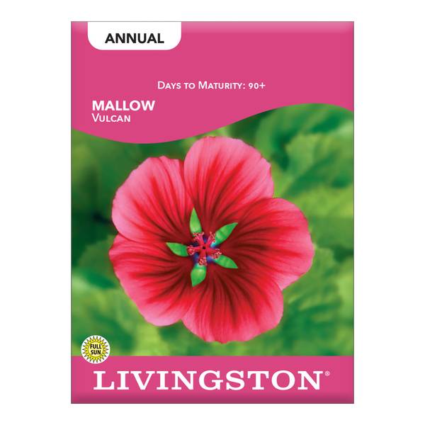 Photo of Vulcan Mallow