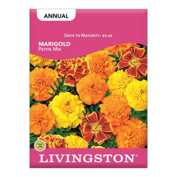 Photo of Petite Marigold Mix