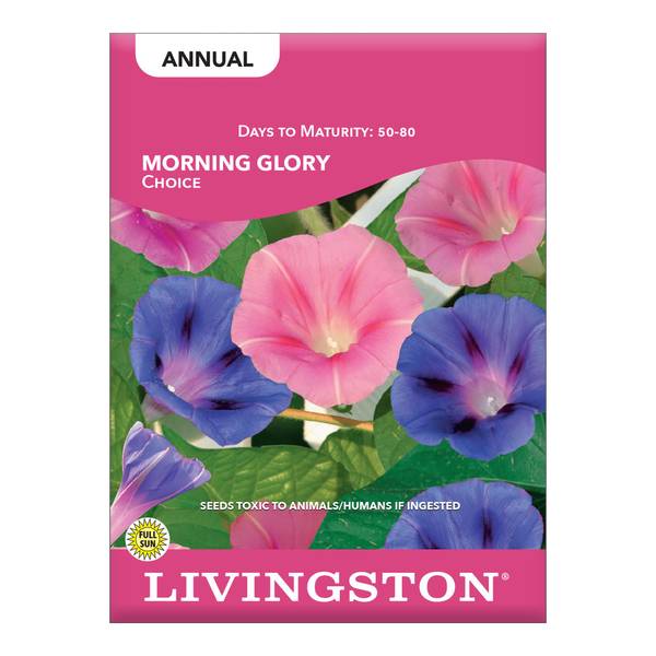 Photo of Choice Morning Glory Mix