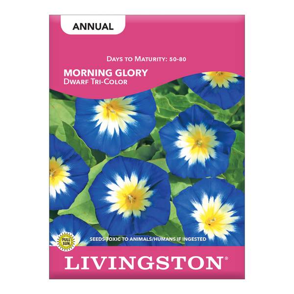 Photo of Dwarf Tri-Color Morning Glory