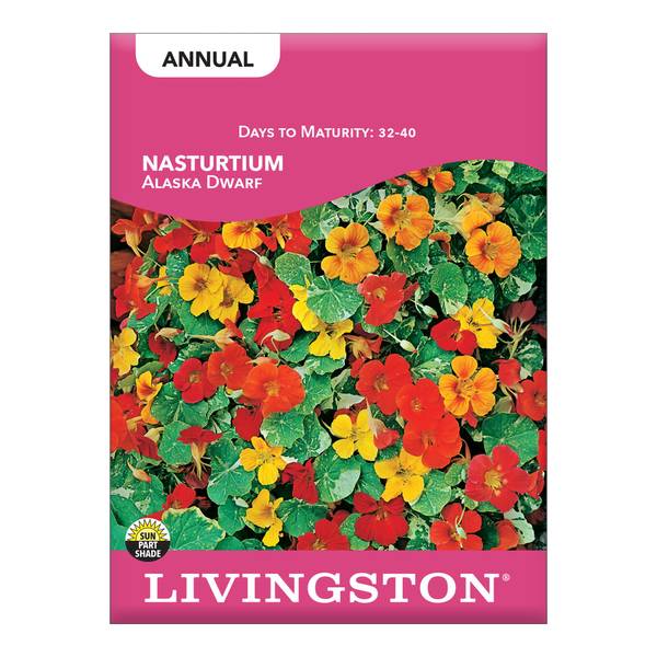 Photo of Alaska Dwarf Nasturtium