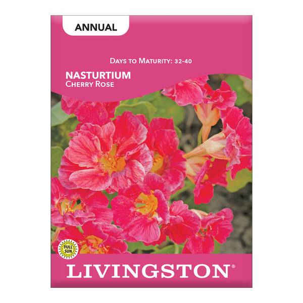 Photo of Cherry Rose Nasturtium