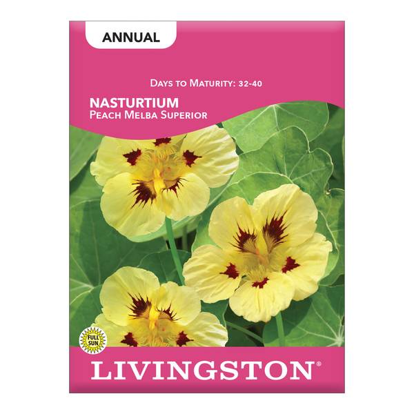 Photo of Peach Melba Superior Nasturtium