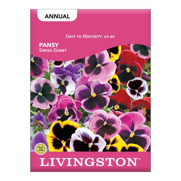 Photo of Swiss Giant Pansy