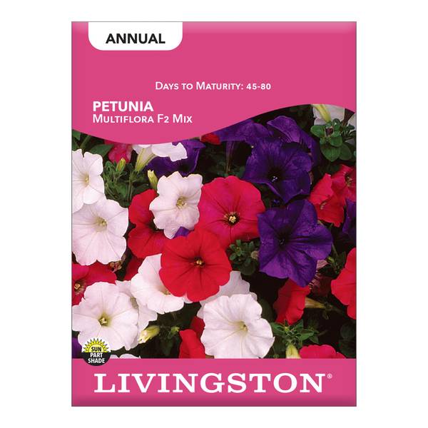 Photo of Multiflora F2 Petunia Mix