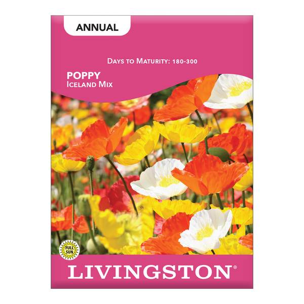 Photo of Iceland Poppy Mix
