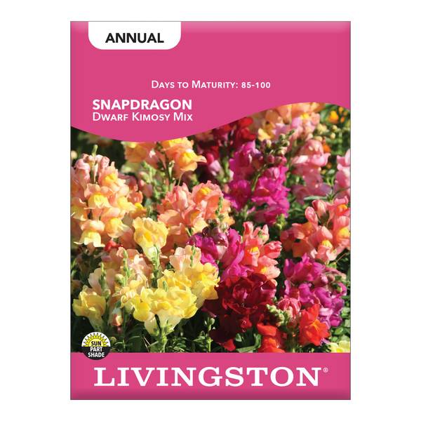 Photo of Dwarf Kimosy Snapdragon Mix