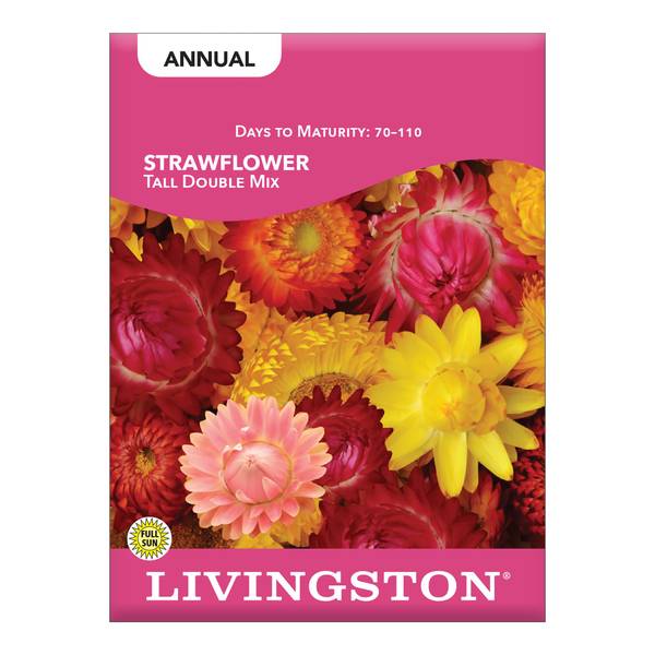 Photo of Tall Double Strawflowers