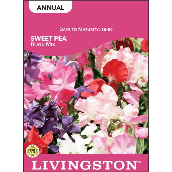 Photo of Bijou Mix Sweet Pea