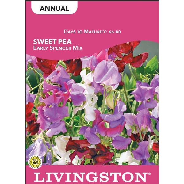 Photo of Early Spencer Mix Sweet Pea