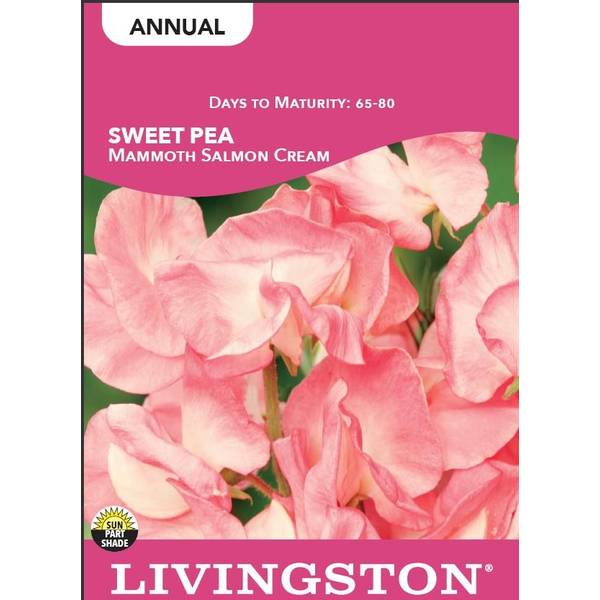 Photo of Mammoth Salmon Cream Sweet Peas