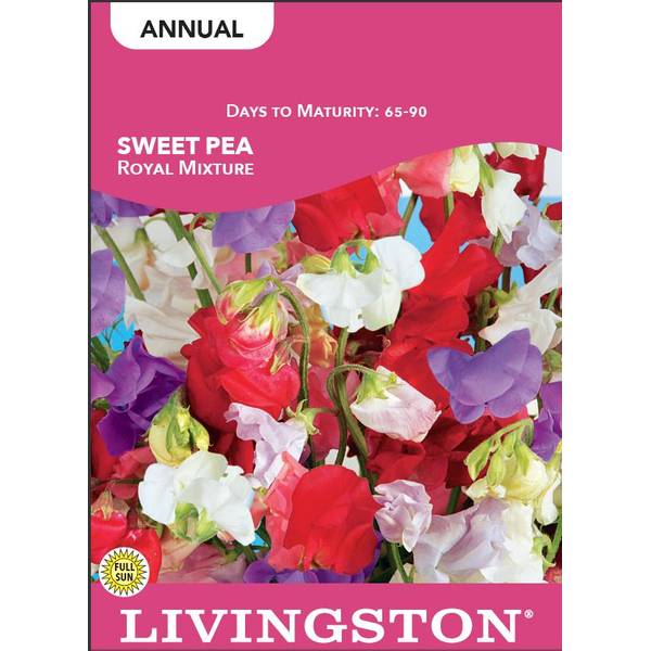 Photo of Royal Mixture Sweet Pea
