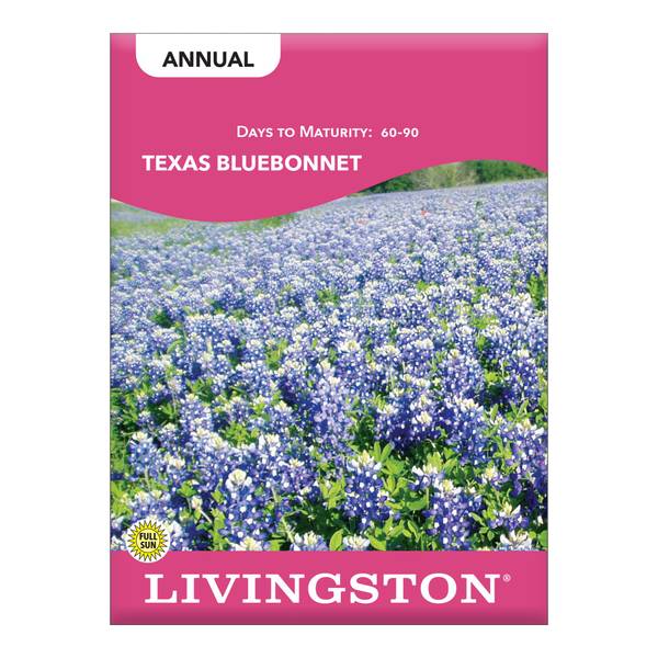 Photo of Texas Bluebonnet
