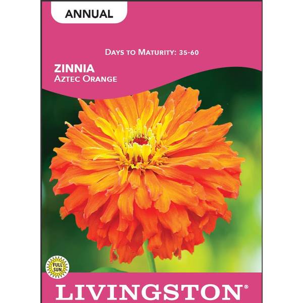 Photo of Aztec Orange Zinnia