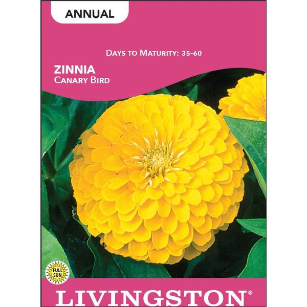 Photo of Canary Bird Yellow Zinnia