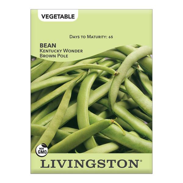 Photo of Kentucky Wonder Brown Pole Green Bean