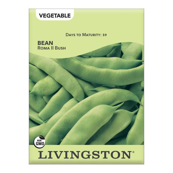 Photo of Roma II Bush Green Bean