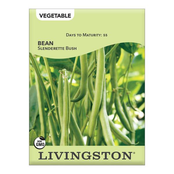 Photo of Slenderette Bush Green Beans