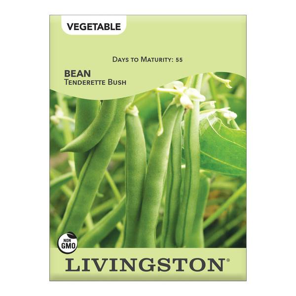 Photo of Tenderette Bush Green Beans