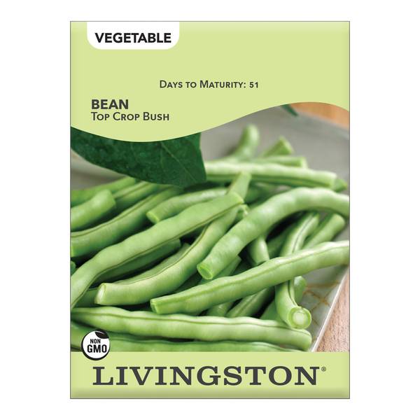 Photo of Top Crop Bush Green Bean