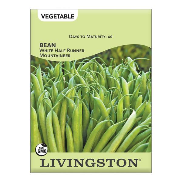 Photo of White Half Runner/Mountaineer Bush Beans
