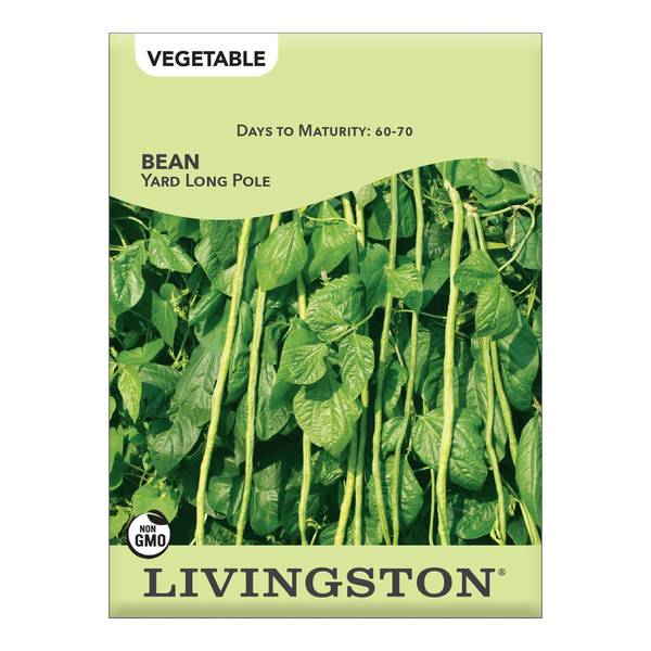 Photo of Yard Long Pole Bean
