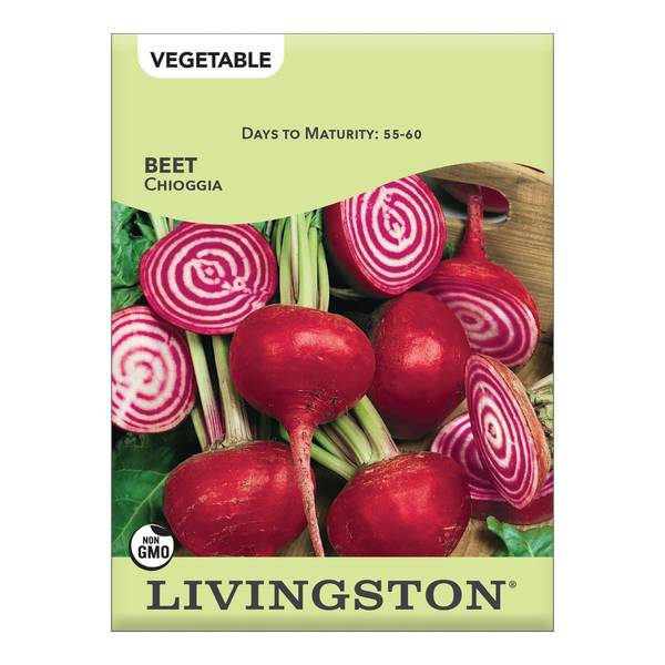 Photo of Chioggia Beet