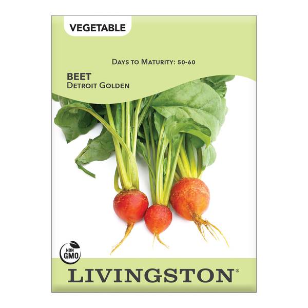 Photo of Detroit Golden Beet