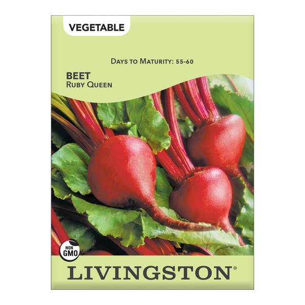 Photo of Ruby Queen Beet