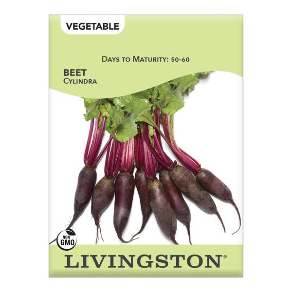Photo of Cylindra Beets