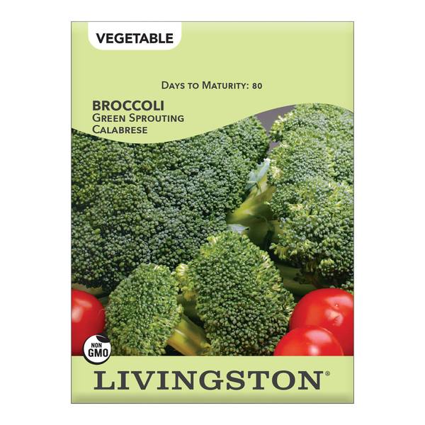 Photo of Green Sprouting Calabrese Broccoli