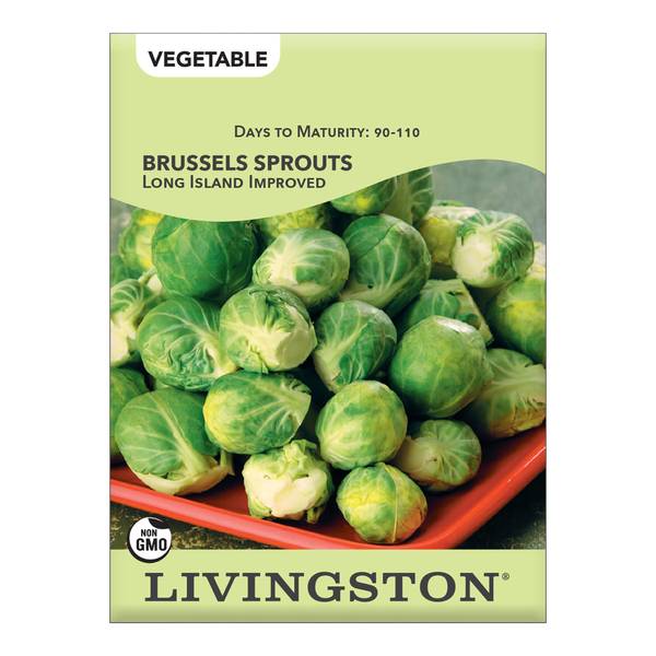 Photo of Long Island Improved Brussels Sprouts