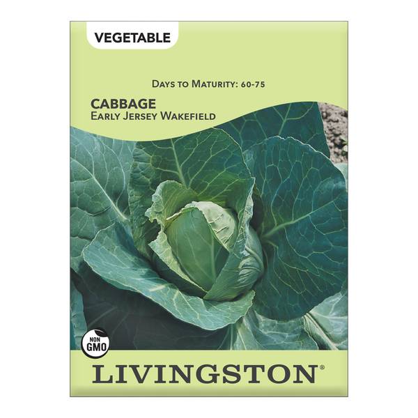 Photo of Early Jersey Wakefield Cabbage