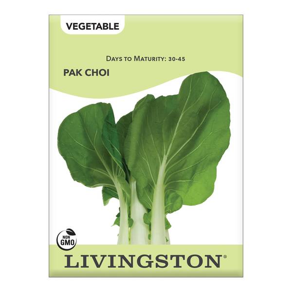 Photo of Pak Choi Cabbage