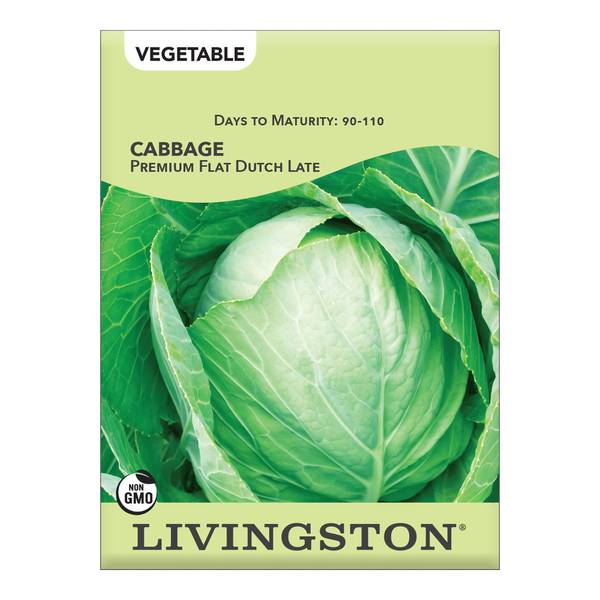 Photo of Premium Flat Late Dutch Cabbage