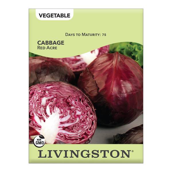 Photo of Red Acre Cabbage