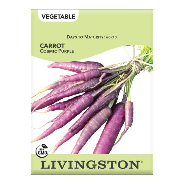 Photo of Cosmic Purple Carrot