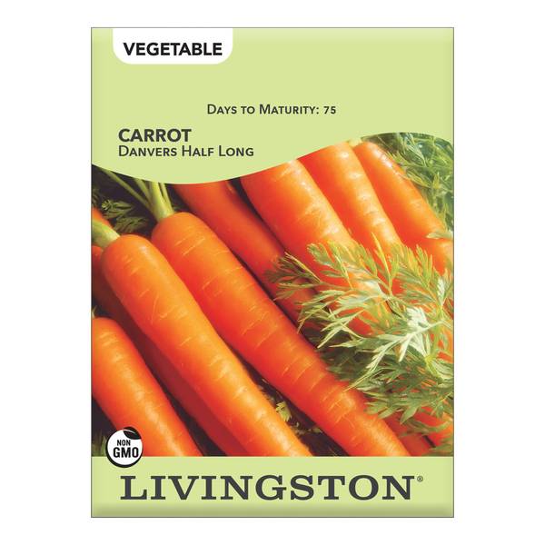Photo of Danvers Half Long Carrot