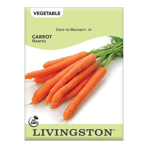 Photo of Nantes Carrot