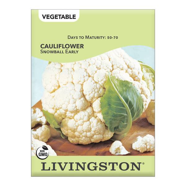 Photo of Snowball Cauliflower